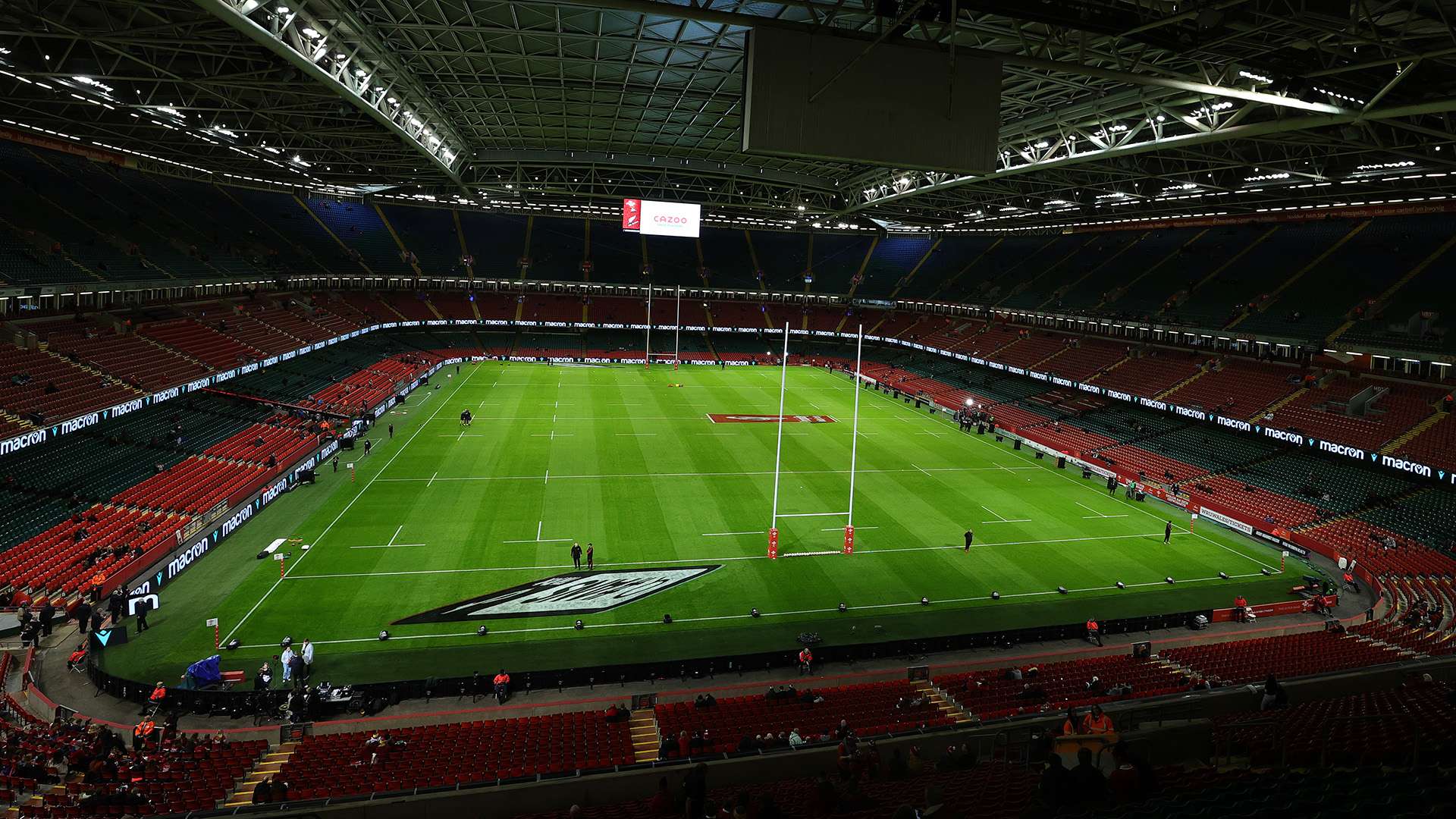 新月邀约的 新月邀约的