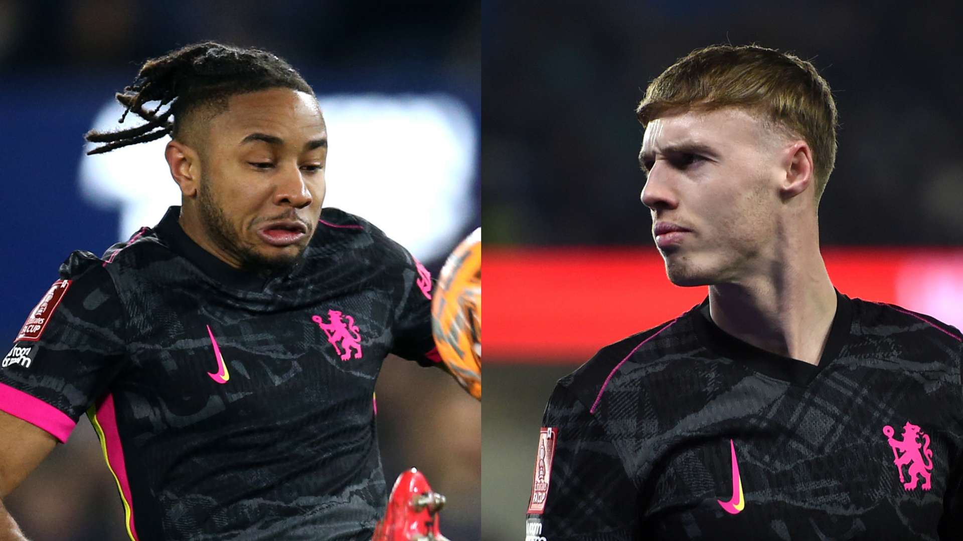 他們不僅是 他們不僅是