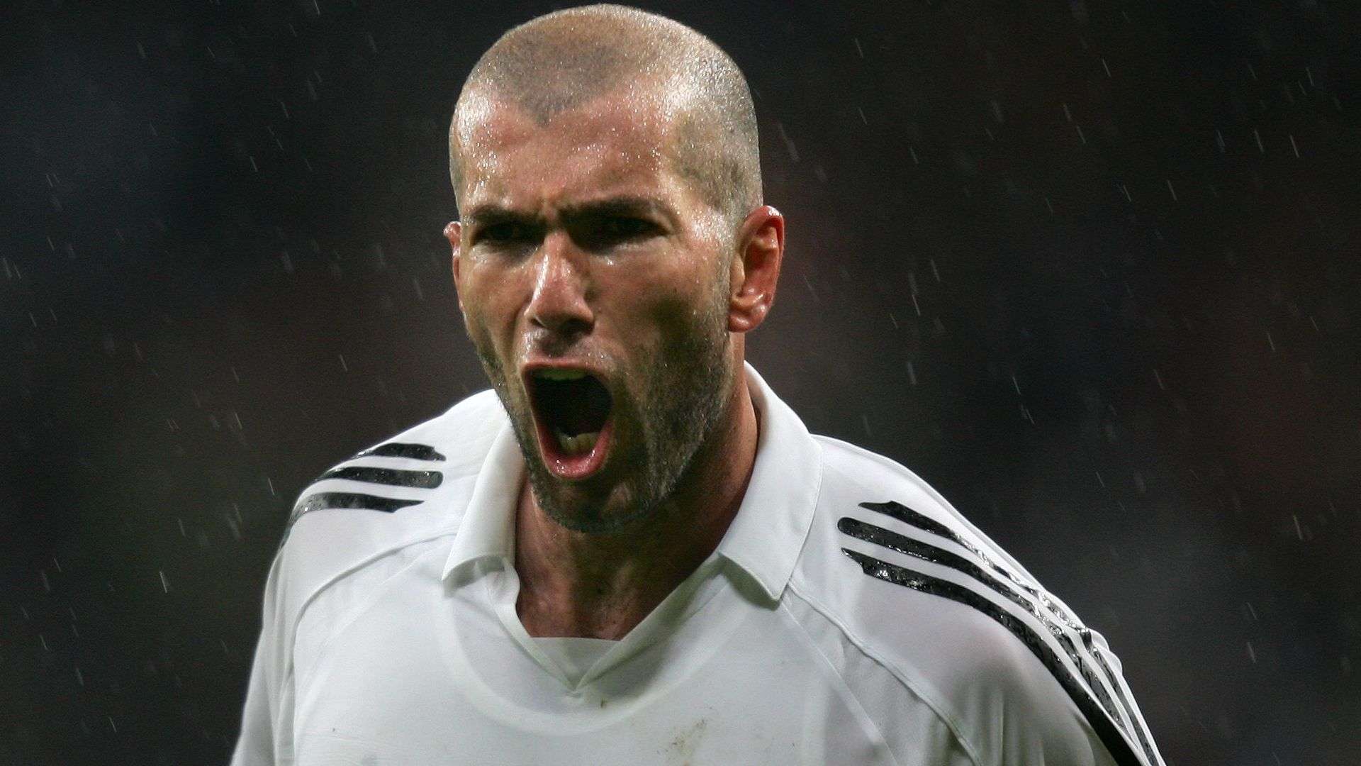 黄蜂队的反 黄蜂队的反